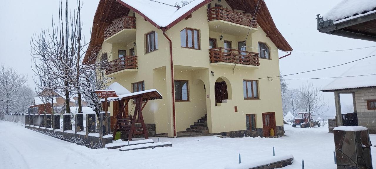 Hotel Sub Creasta Cocosului Breb Exteriér fotografie