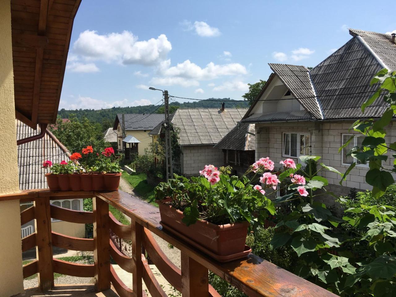 Hotel Sub Creasta Cocosului Breb Exteriér fotografie
