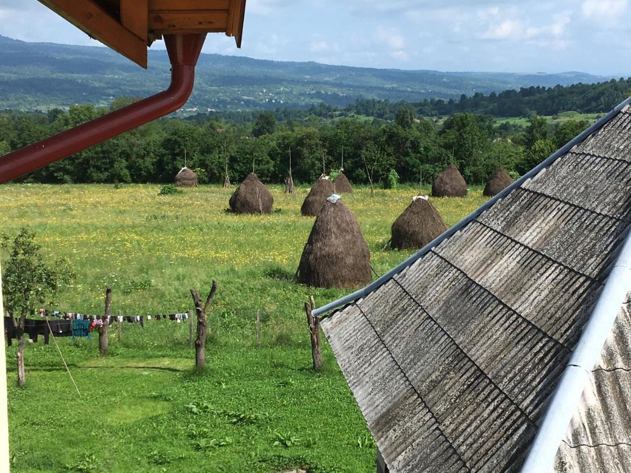 Hotel Sub Creasta Cocosului Breb Exteriér fotografie