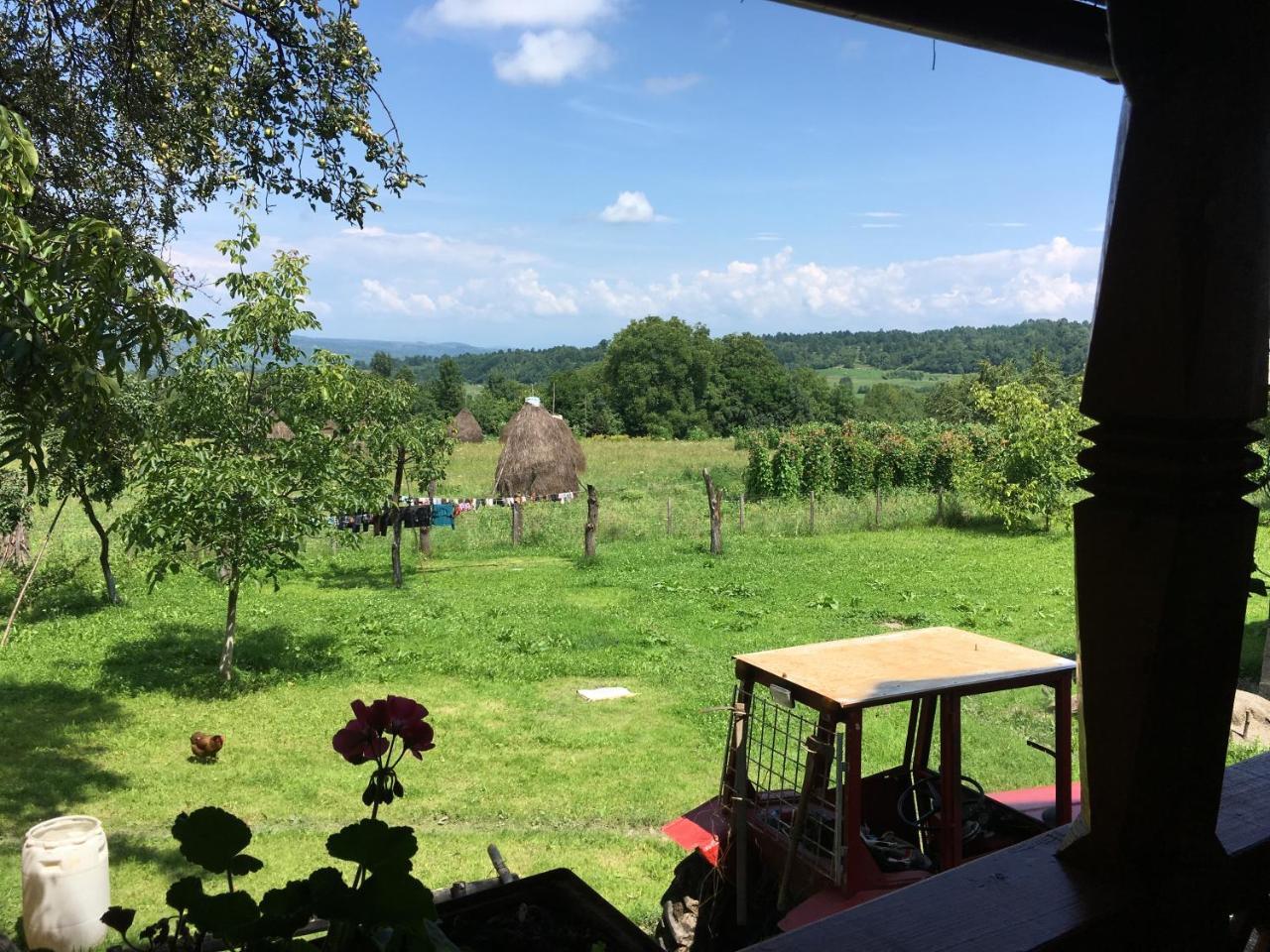 Hotel Sub Creasta Cocosului Breb Exteriér fotografie
