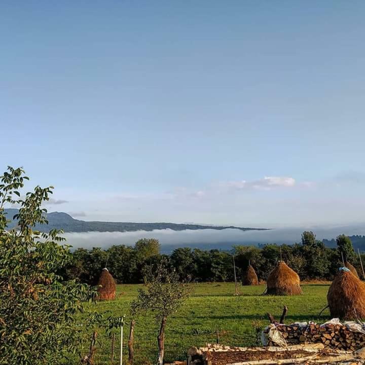 Hotel Sub Creasta Cocosului Breb Exteriér fotografie